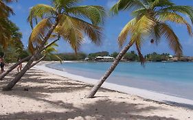 Little Paradise